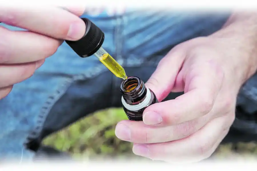 Comienzan a investigar el cannabis en Tucumán