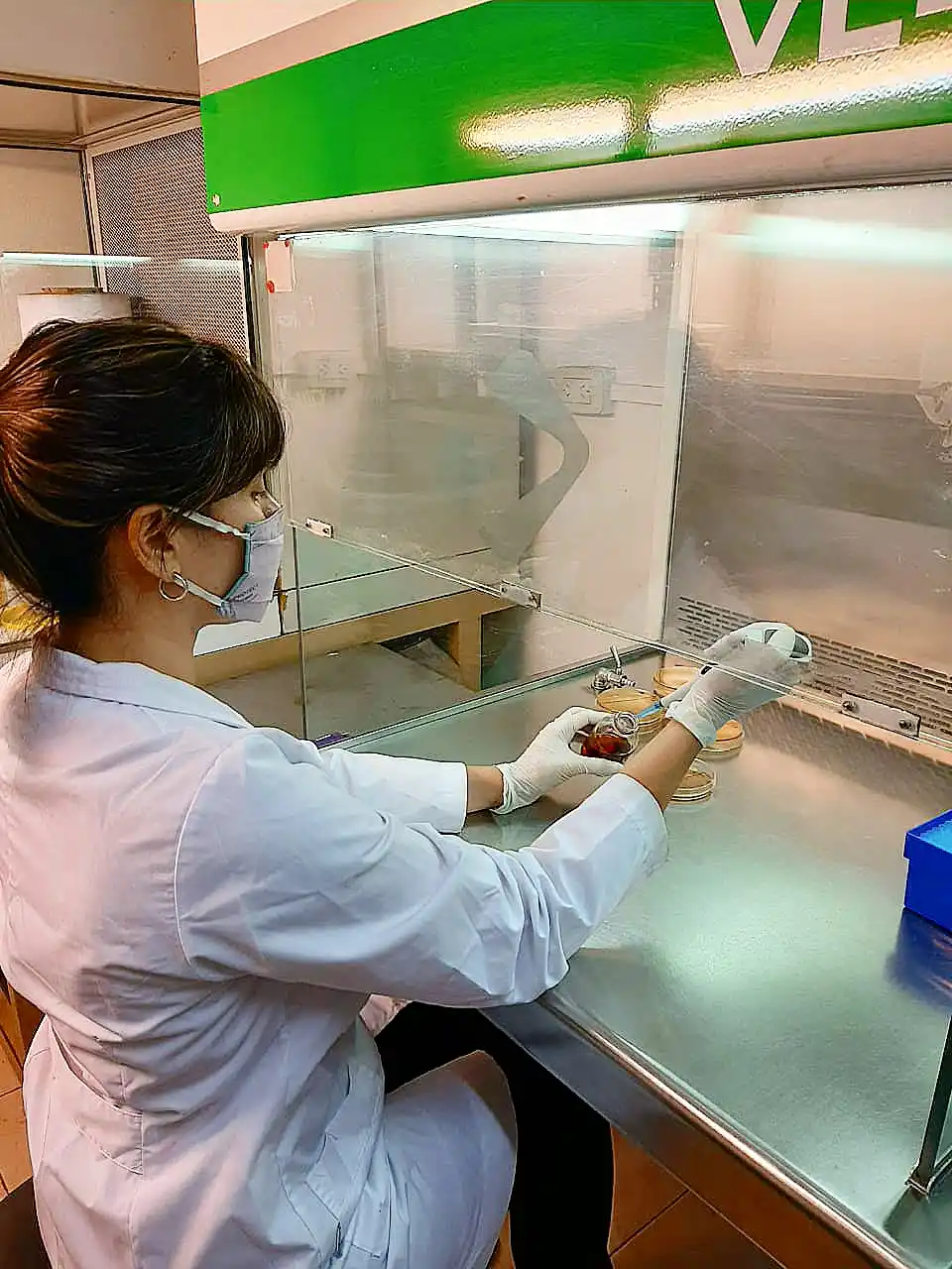 PROCESO DE OBTENCIÓN METABOLITOS. Lo primero que se saca de las plantas son los aceites esenciales.