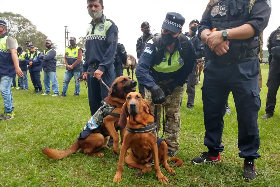 Wanda, la perra policía adiestrada para buscar personas, ahora sale con su hijo Taca