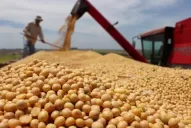 La soja tuvo la cotización más alta de los últimos siete años