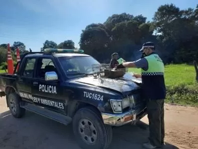 EN ACCIÓN. Los policías realizando un control en una zona rural.  