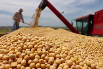 La cosecha de soja, sujeta aún a las últimas lluvias
