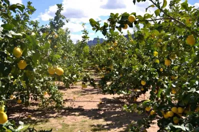 La Rural busca alternativas para frenar la ola de robos