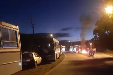 Conflicto citrícola: entraron a las quintas a amenazar a trabajadores, dijeron en Acnoa