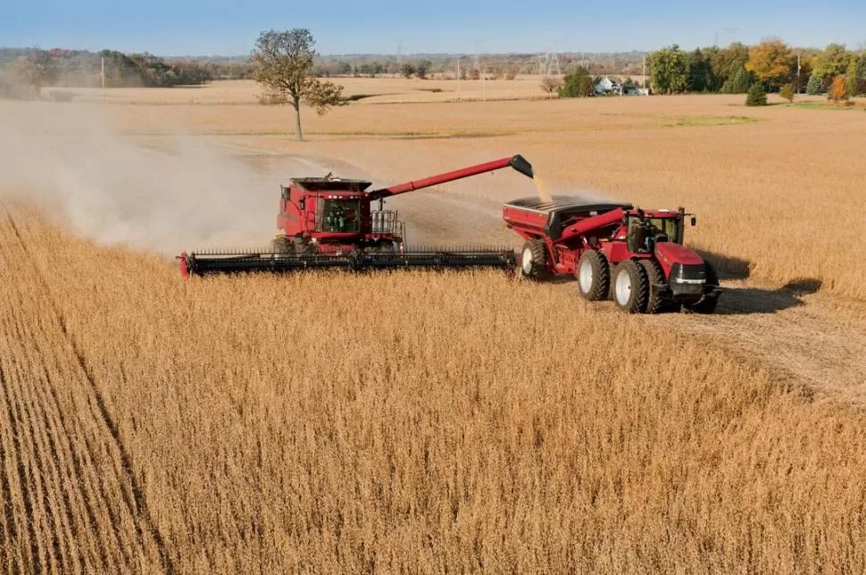 Argentina volverá a ser en 2021 el principal proveedor de harina y aceite de soja a nivel mundial