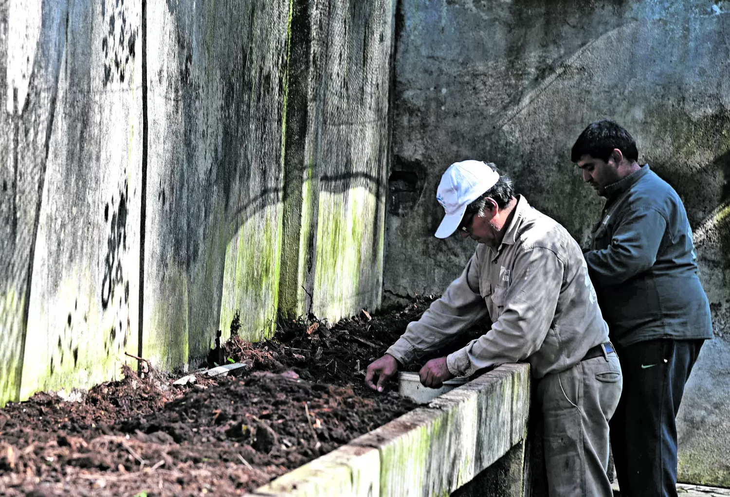 Compost: entrega gratuita de tierra mejorada