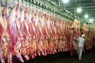 El Gobierno suspende por 30 días las exportaciones de carnes