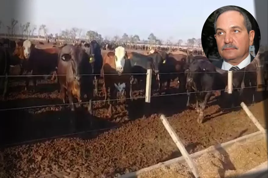 Vacas robadas: la Justicia ordenó otra detención en la causa que salpica al senador Alperovich