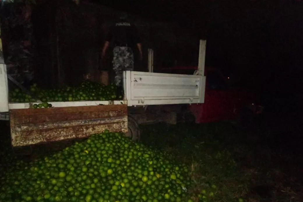 Secuestran casi 4.000 kilos de naranjas en controles por robos “hormiga”