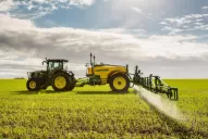 Recomendaciones clave para el manejo de malezas en los cultivos de invierno