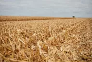 Logiseed integra el proyecto ambiental “4 por 1.000”