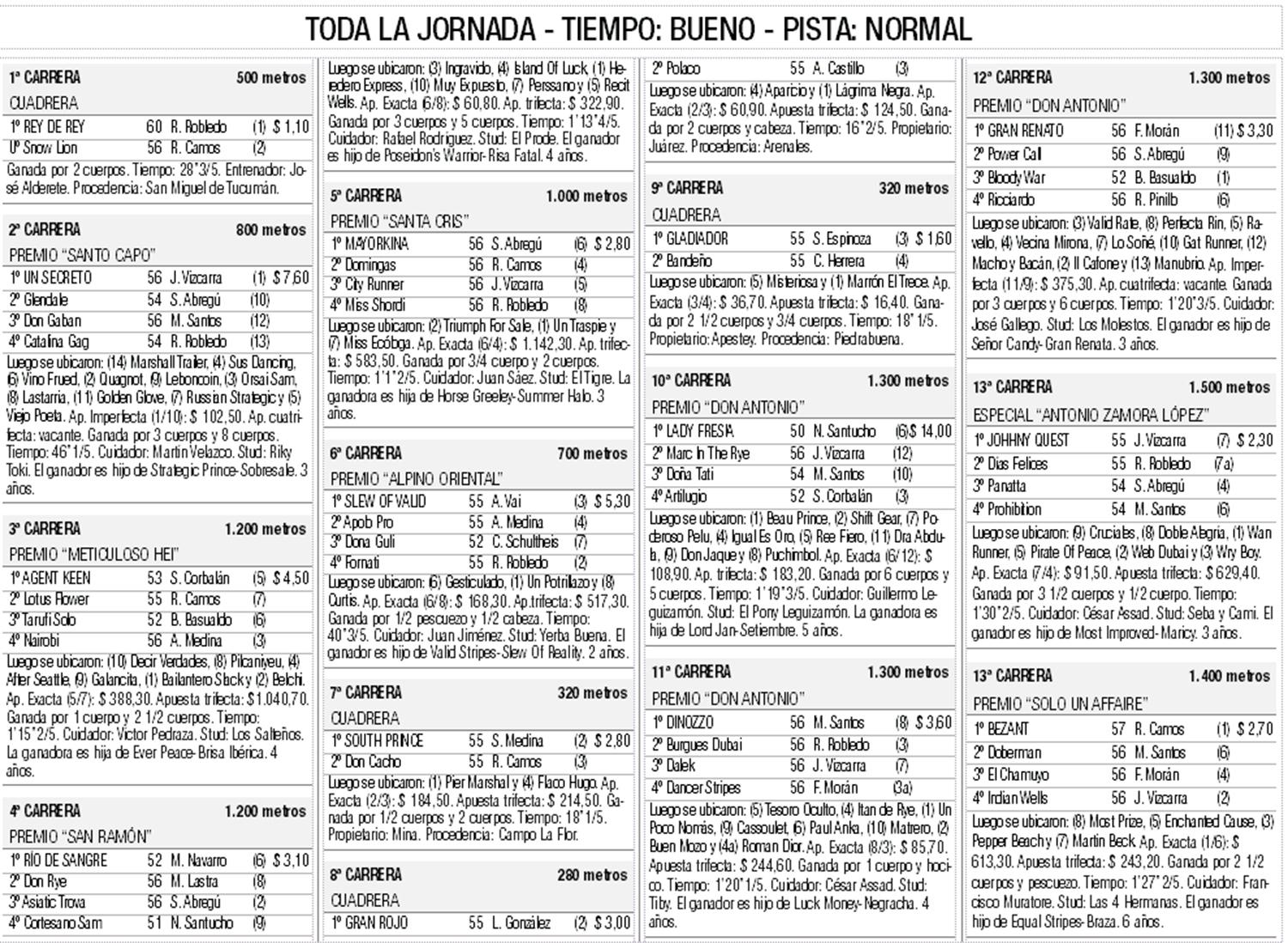 Turf, Especial Antonio Zamora López: vuela bien alto
