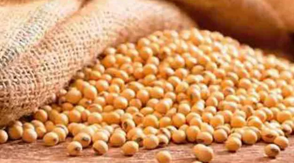 Soya Precio Del Trigo En La Bolsa De Chicago Cereales Bolsa De Chicago  Precio Soja Sojeros Argentinos Cobran El