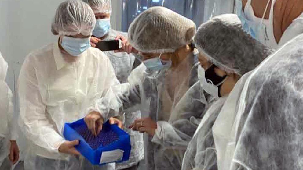 PRIMER PASO. Vacunas realizadas en laboratorio argentino