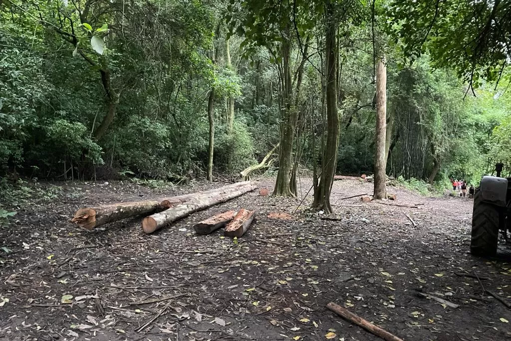 Arranca en Horco Molle un mega proyecto de restauración ecológica