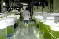 Una diputada de Jujuy defendió un proyecto sobre biocombustibles