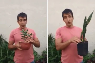 Cuatro ideas originales de regalos para los amantes de las plantas