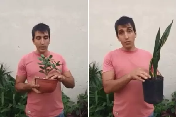 Cuatro ideas originales de regalos para los amantes de las plantas
