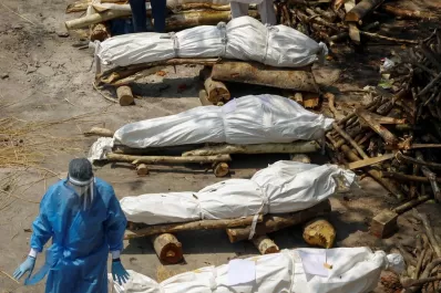 Evalúan la peligrosidad de la nueva cepa de India