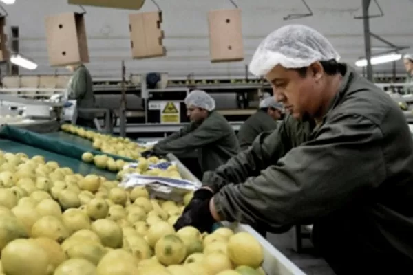 El Banco Centroamericano de Integración Económica financiará PYME del sector agroalimentario