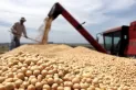 ¡Lluvia de dólares! Agroexportadores liquidaron más de U$S 3.500 millones en mayo