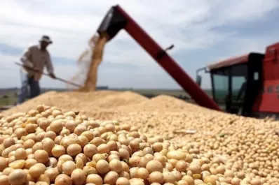 Auguran un escenario positivo en cuanto a precios para la actual campaña de granos