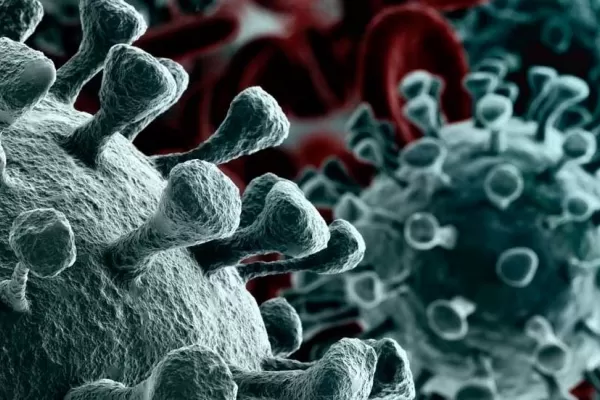 Nuevo estudio: la exposición a altas temperaturas neutraliza el coronavirus en menos de un segundo