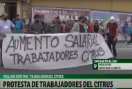 Continúa el reclamo de los cosecheros del limón: el salario es de $ 25.000 por mes