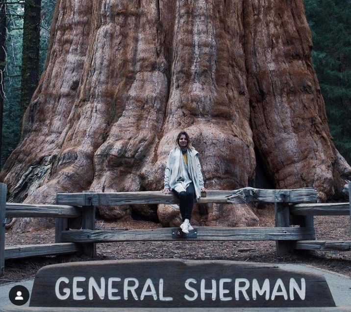 ÁRBOLES GIGANTES. La famosa sequoia “General Sherman” en Estados Unidos.