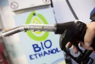 Es inevitable la prórroga de la Ley de Biocombustibles