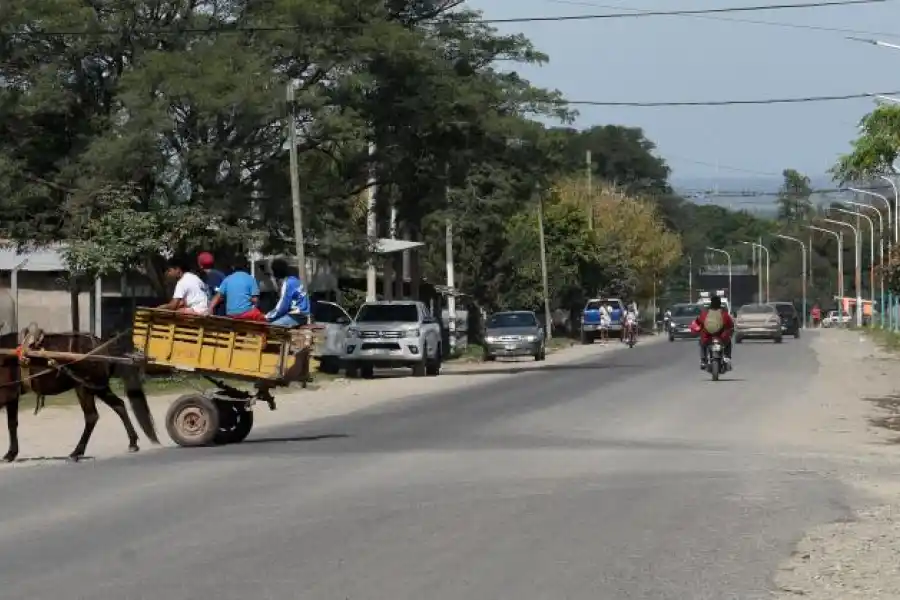 TRACCIÓN A SANGRE. Las jardineras forman parte del paisaje habitual en Villa Carmela.