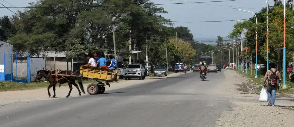 TRACCIÓN A SANGRE. Las jardineras forman parte del paisaje habitual en Villa Carmela.