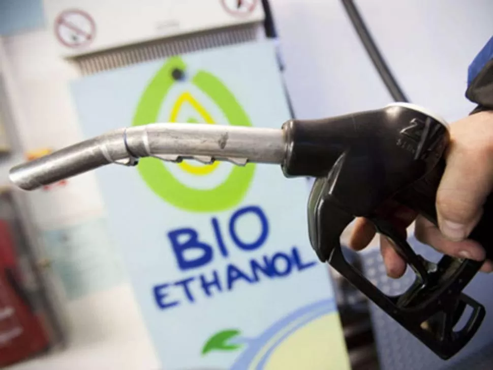 SIN CAMBIOS. La ley vigente mantiene los cortes de las naftas con etanol de caña y de maíz en un 12%. 
