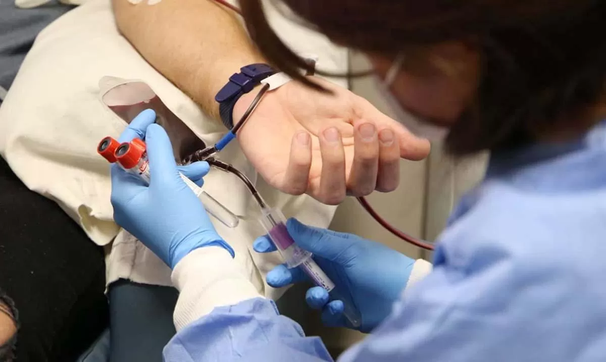 Si estás recuperado de covid-19, cómo ser donante de plasma para salvar más vidas