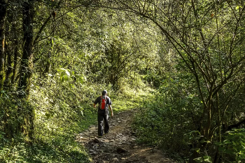 Yerba Buena: organizan un paseo de trekking para chicos con TEA