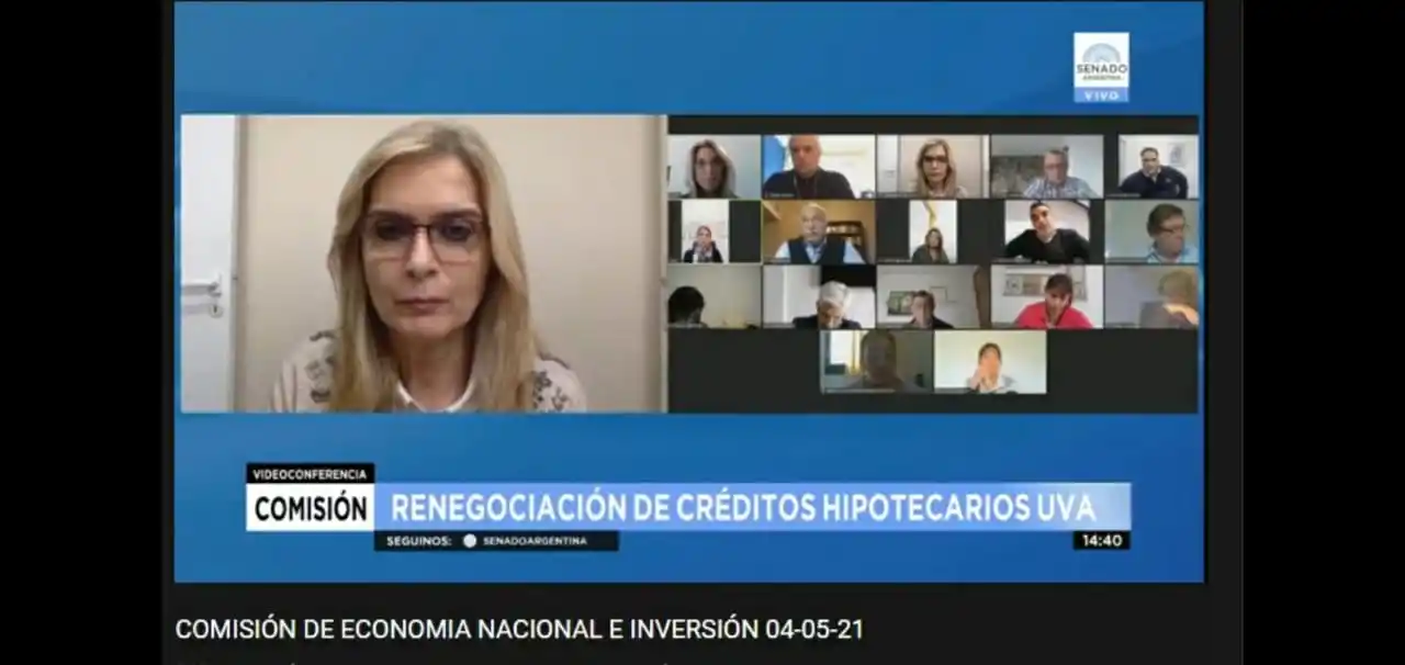 DEBATE INTERNO. La última reunión de la comisión de Economía Nacional e Inversión del Senado, el martes último, en la que se discutió la problemática. LA GACETA