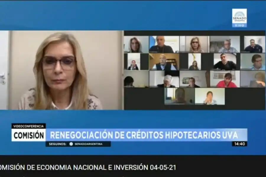 DEBATE INTERNO. La última reunión de la comisión de Economía Nacional e Inversión del Senado, el martes último, en la que se discutió la problemática. LA GACETA