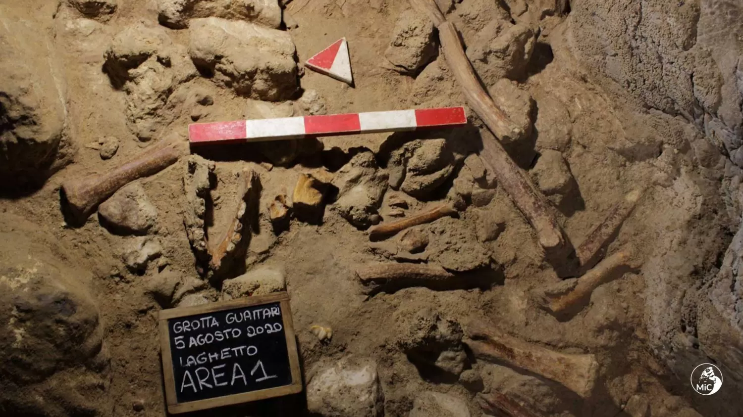 Hallazgo: identifican restos fósiles de nueve neandertales en una cueva de Italia
