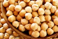 Garbanzo: la alternativa que sigue creciendo en Tucumán