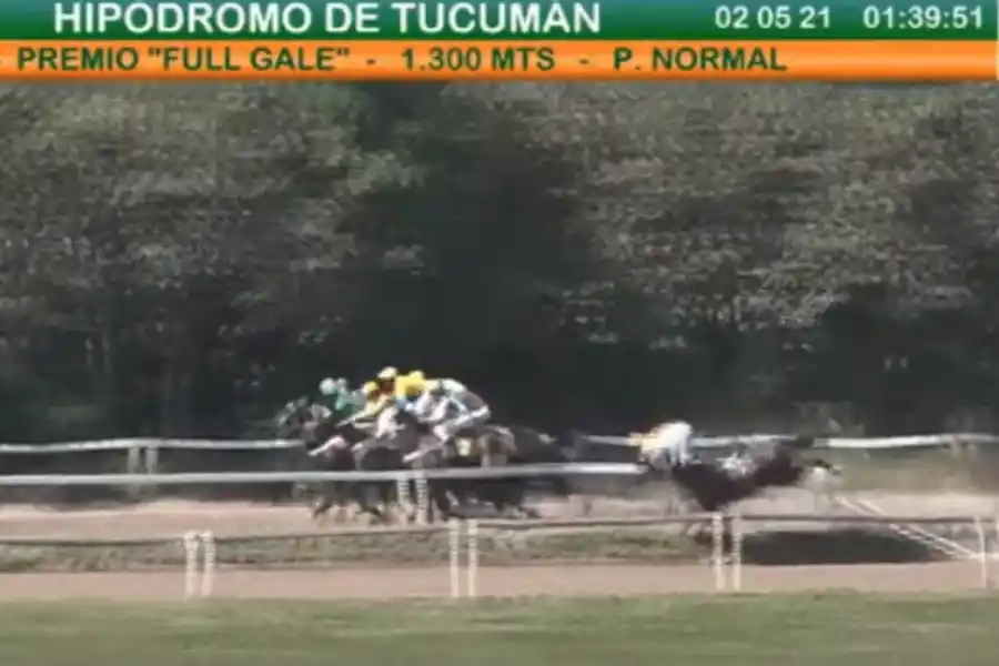 CERCA DE LA LARGADA. Fantasy Dut chocó la baranda y Cristian Rojas “voló”.