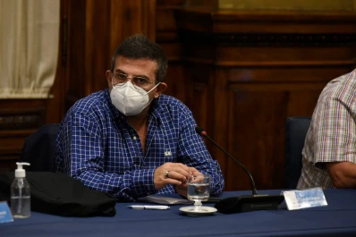 Cisneros celebró el proyecto de ley de emergencia covid: “tiene una mirada federal”