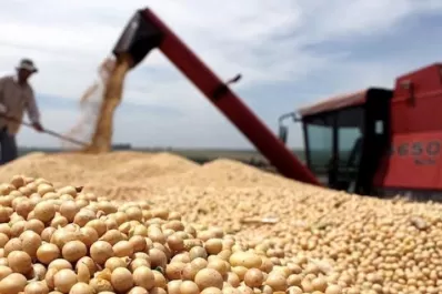 Chicago: la tonelada de soja superó los U$S 600, el precio más alto en casi nueve años