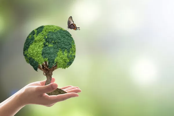 Consumo consciente: cuando el medio ambiente sale ganando