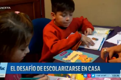 Homeschooling: cómo es trasladar los contenidos de la escuela a la casa