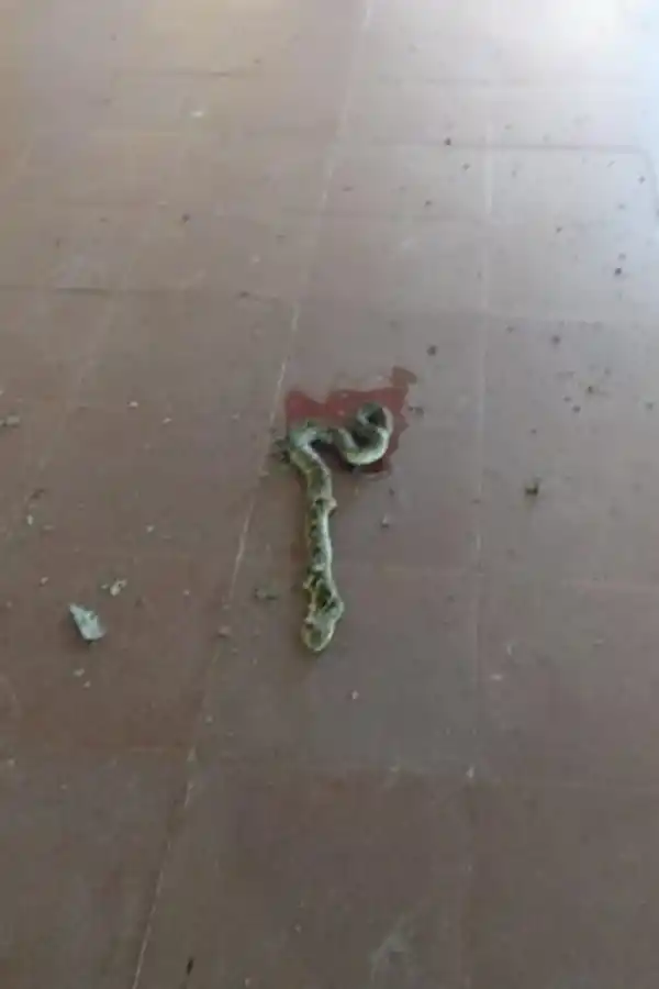 Escuela Técnica de Lules. Gentileza José Ascárate