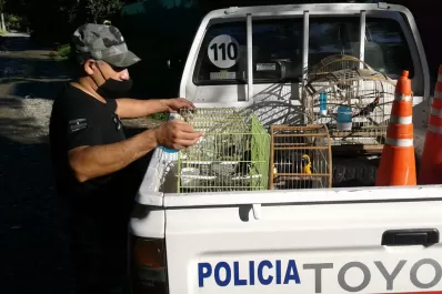 Recuperaron cinco caballos y rescataron más de 20 aves cautivas