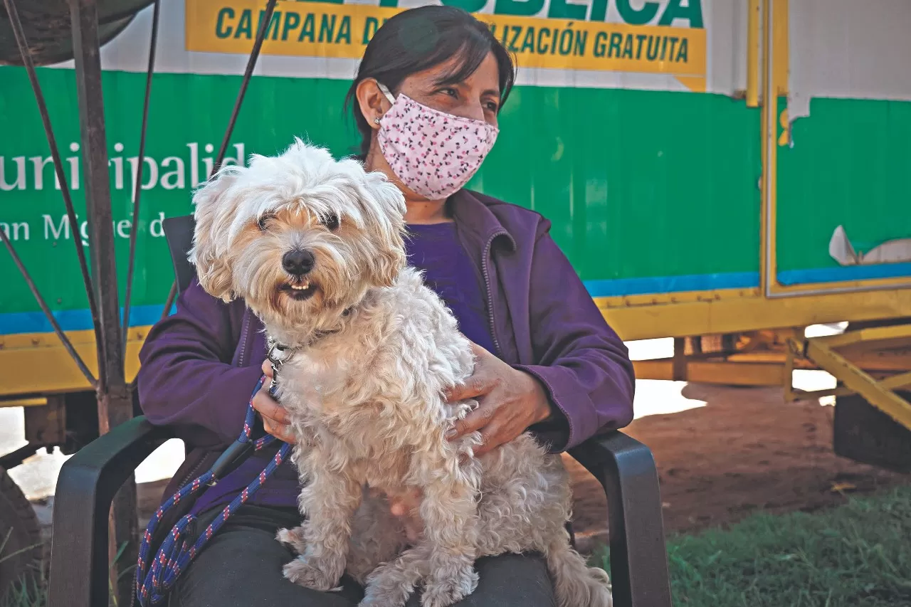 El tráiler veterinario recorre la ciudad con el servicio de castración de mascotas