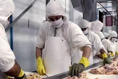 Trabajadores de avícolas lograron un aumento salarial de más de un 41%