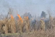 Advierten sobre nuevos cortes de luz a causa de la quema de cañas