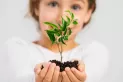 Cambio climático: claves para una educación ambiental